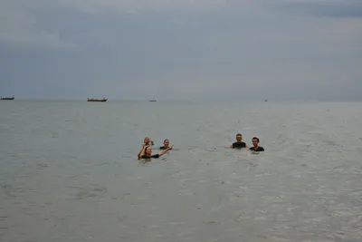 DSC_5431 (Large).JPG